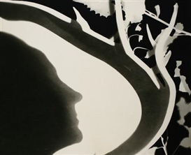Emanations: The Art of the Cameraless Photograph at Govett-Brewster Art Gallery